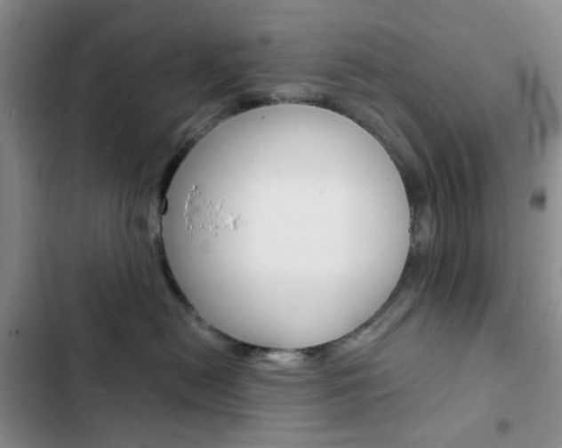 X0000103160478200808221157