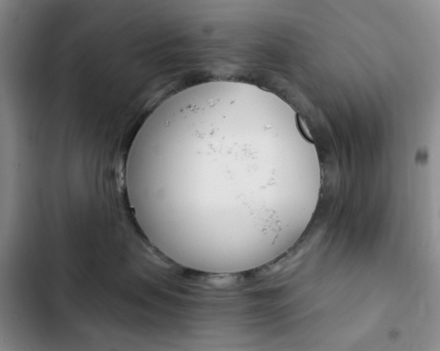 X0000103160479200808221157