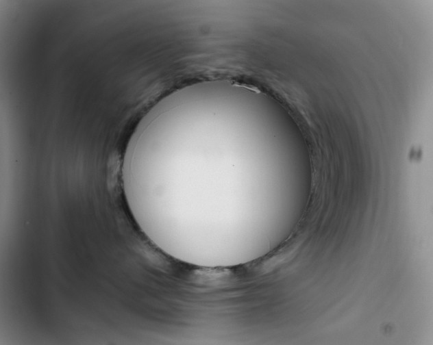X0000103160480200808221157