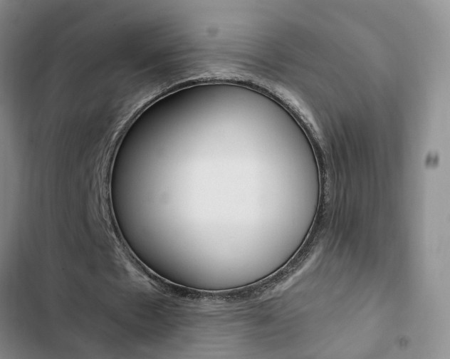 X0000103160481200808221156