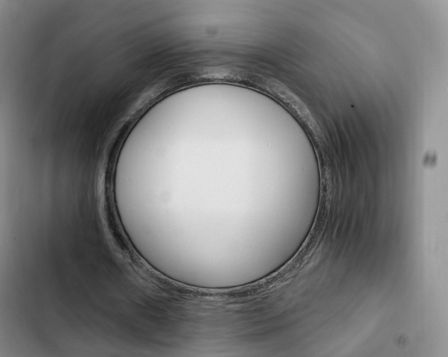 X0000103160482200808221156