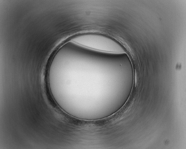 X0000103160483200808221156
