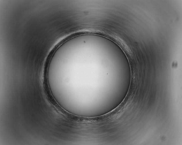 X0000103160484200808221156
