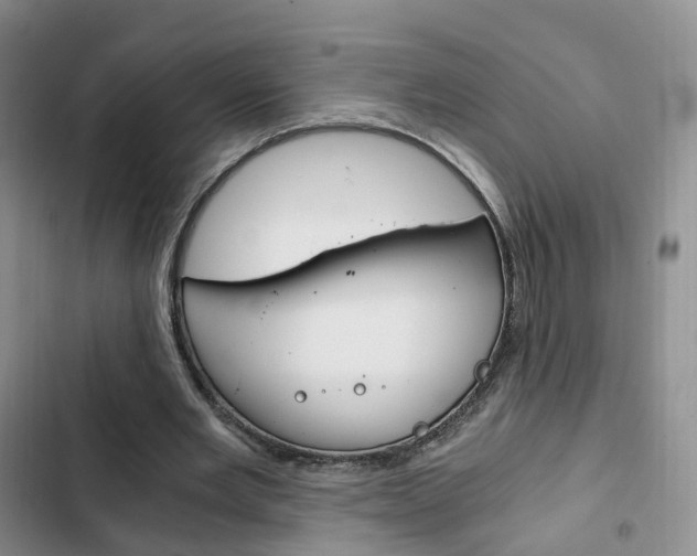 X0000103160485200808221156