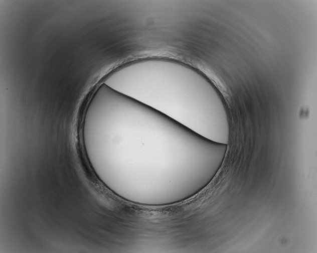 X0000103160486200808221156