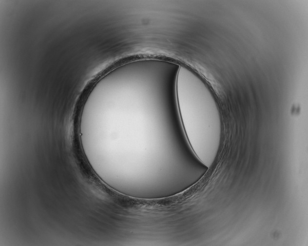 X0000103160488200808221156