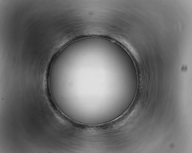 X0000103160489200808221156