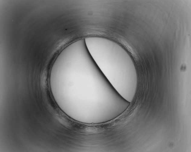 X0000103160490200808221156