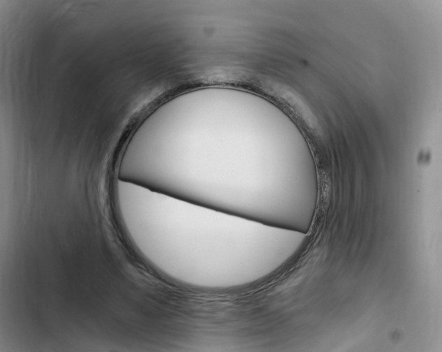 X0000103160491200808221156