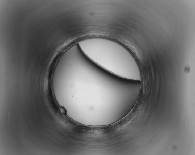 X0000103160492200808221156