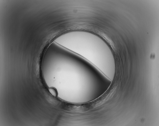 X0000103160493200808221156