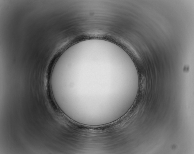 X0000103160494200808221156