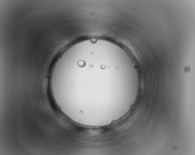 X0000103160495200808221156