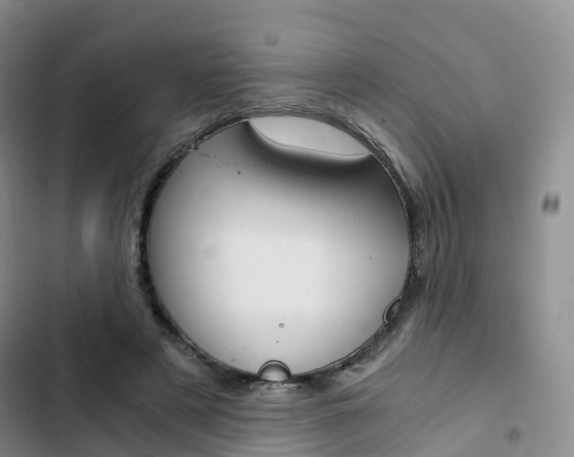 X0000103160497200808221156