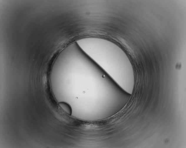X0000103160500200808221155