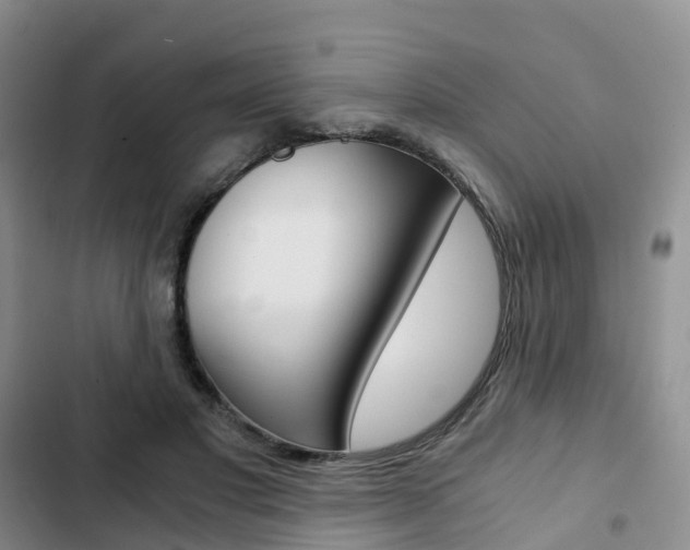 X0000103160501200808221155