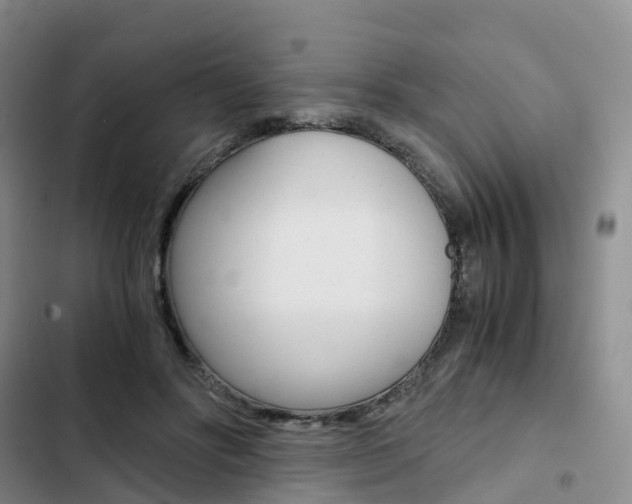 X0000103160502200808221155