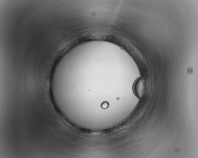 X0000103160505200808221155