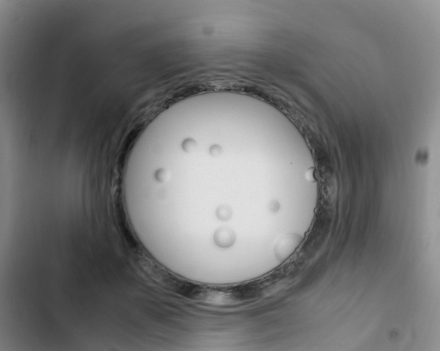 X0000103160507200808221155