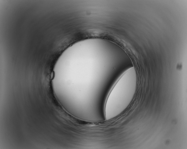 X0000103160509200808221155