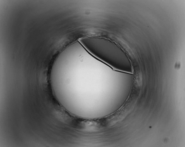 X0000103160512200808221155