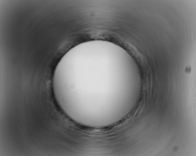 X0000103160513200808221155