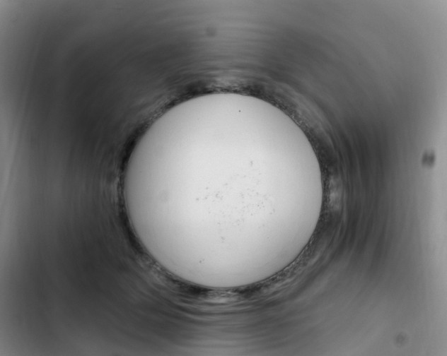 X0000103160514200808221155