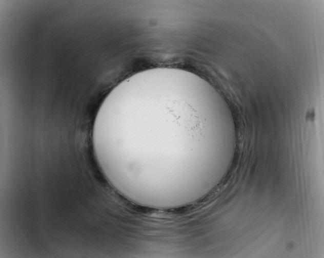 X0000103160515200808221155