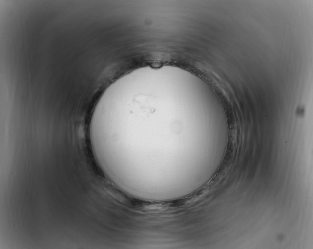 X0000103160516200808221155