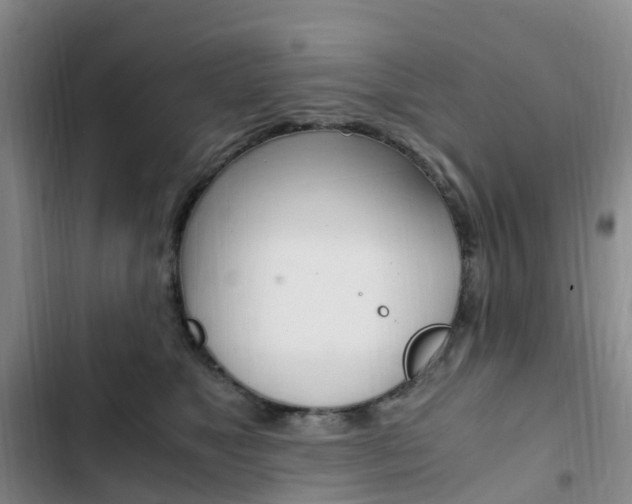 X0000103160517200808221155