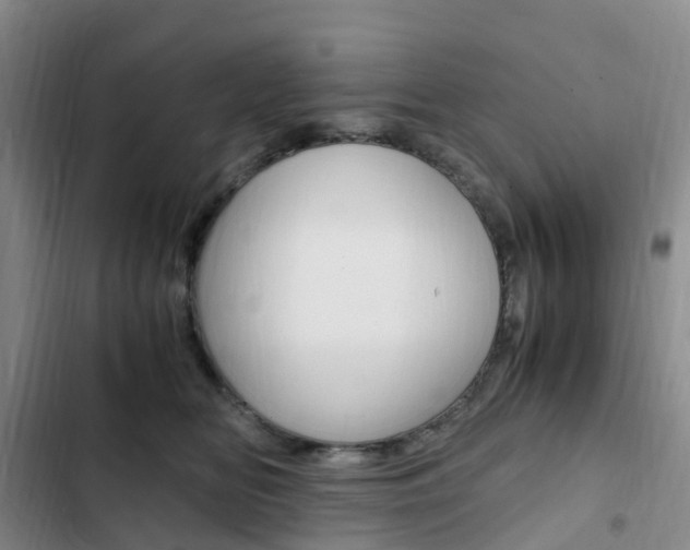 X0000103160518200808221155