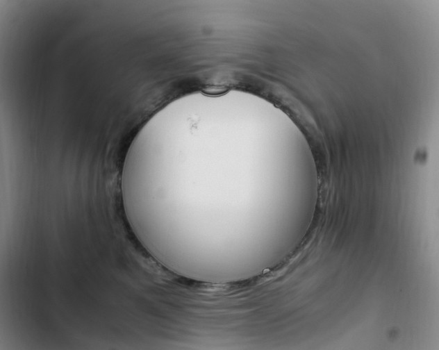 X0000103160521200808221155