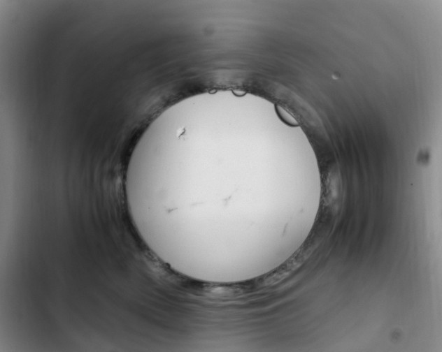 X0000103160522200808221155