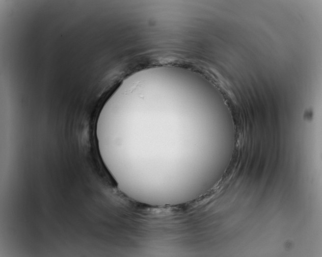 X0000103160524200808221155
