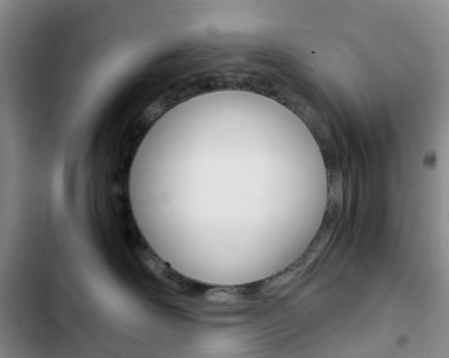 X0000103160526200808221155