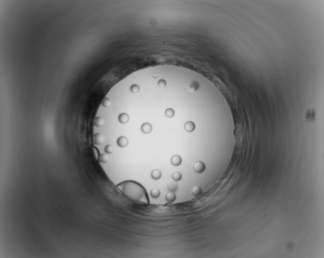 X0000103160527200808221155