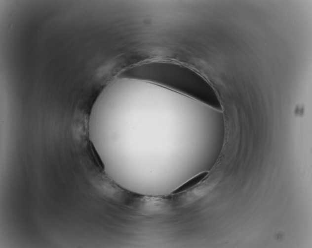 X0000103160528200808221155