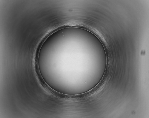 X0000103160530200808221154