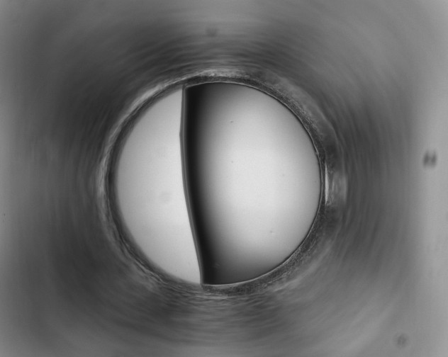 X0000103160531200808221154