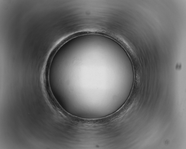 X0000103160532200808221154