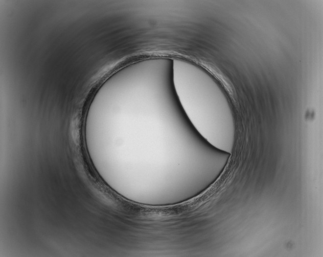 X0000103160533200808221154