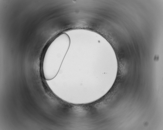 X0000103160534200808221154
