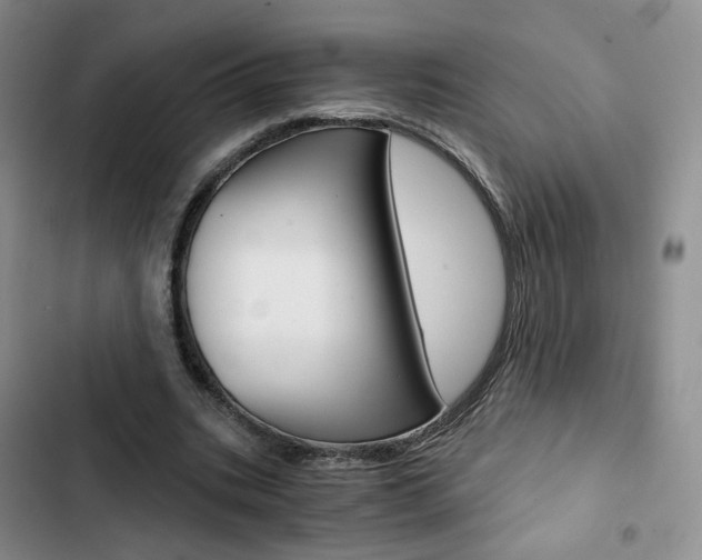 X0000103160535200808221154