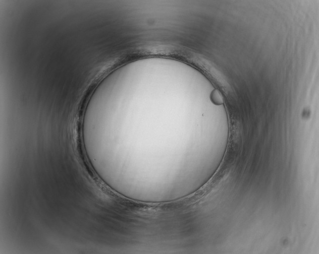 X0000103160537200808221154