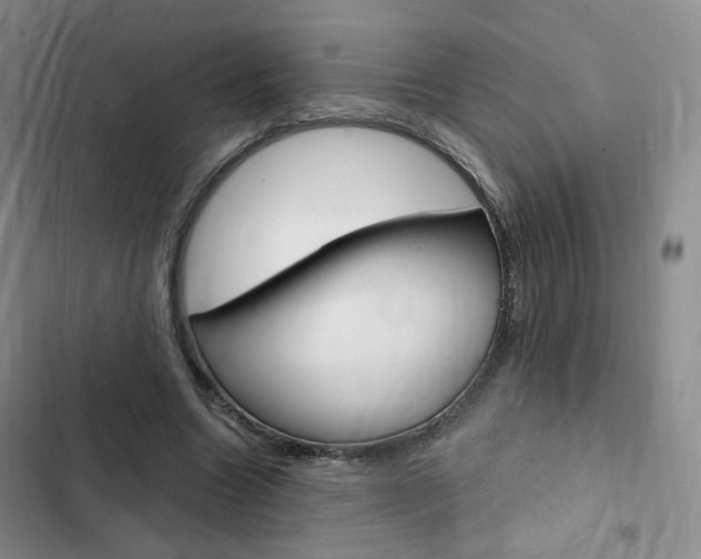 X0000103160538200808221154