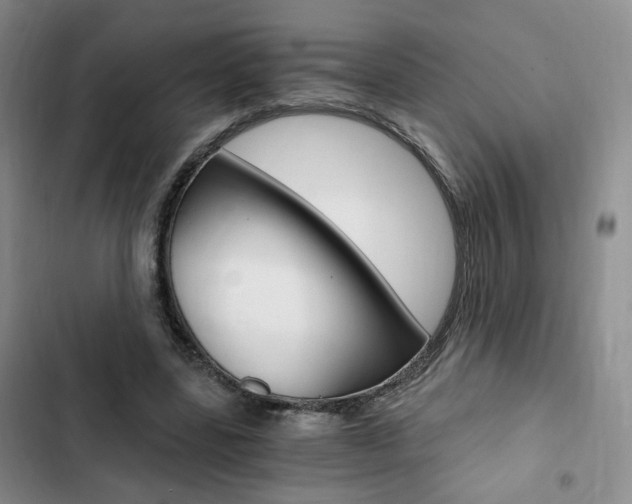 X0000103160539200808221154