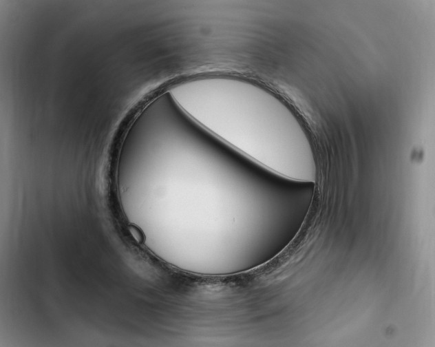 X0000103160540200808221154