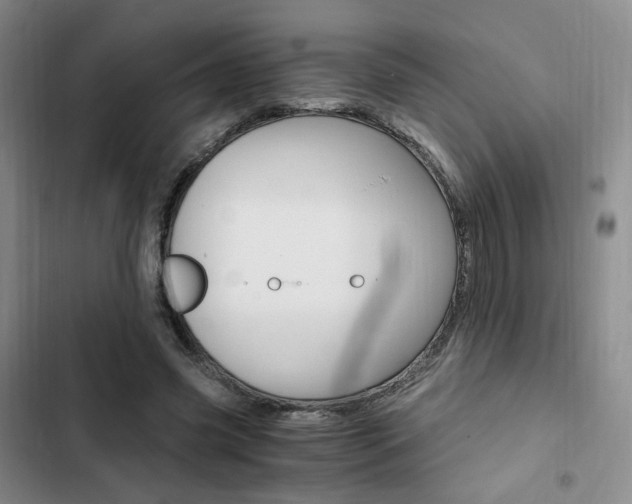 X0000103160541200808221154
