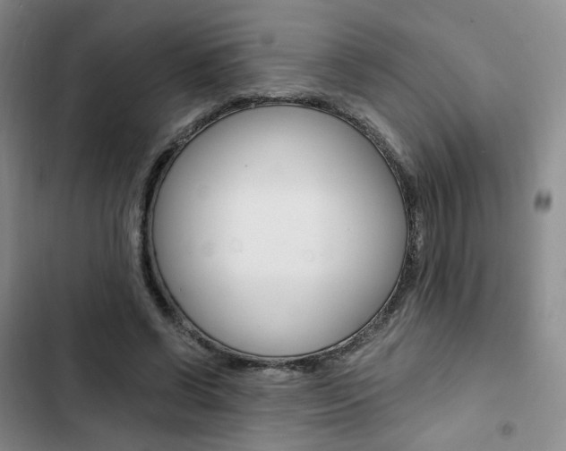 X0000103160542200808221154
