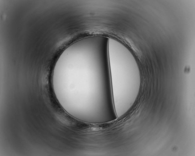 X0000103160543200808221154